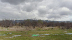 SANY2034.jpg
