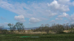 SANY2063-blog.jpg