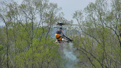 SANY2209-blog.jpg