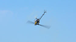 SANY2223-blog.jpg