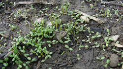 SANY2215-blog.jpg