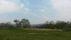 SANY2255.jpg