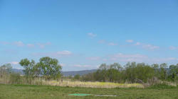 SANY2261-blog.jpg