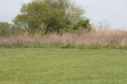 IMG_7376_BLOG_BLOG.jpg