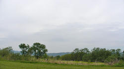 SANY2449.jpg