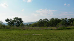 SANY2468.jpg