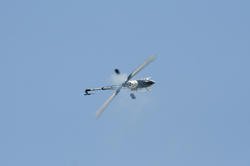 IMG_7707.jpg
