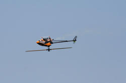 IMG_7790.jpg