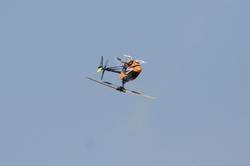 IMG_7797.jpg