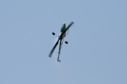 IMG_7909.jpg