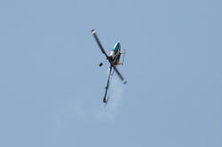 IMG_7916.jpg
