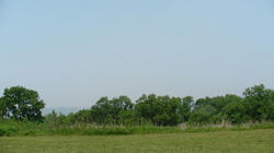 SANY2590.jpg
