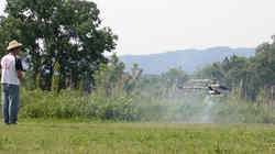 SANY2651.jpg