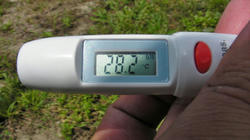 SANY2687.jpg