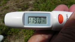 SANY2686.jpg