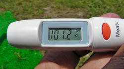 SANY2684.jpg