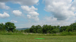 SANY2671.jpg
