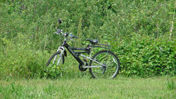 SANY2695.jpg