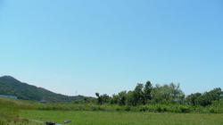 SANY2795.jpg