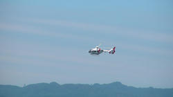 SANY2804.jpg