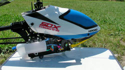 SANY2808.jpg