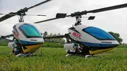 SANY2846.jpg