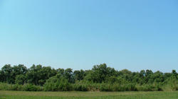 SANY2875.jpg