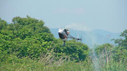 SANY2881.jpg