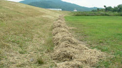 SANY2916.jpg