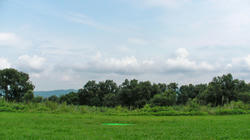 SANY2957.jpg