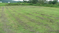 SANY2976.jpg
