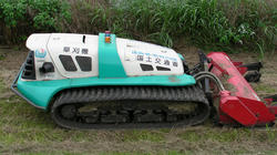 SANY2977.jpg