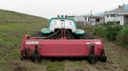 SANY2978.jpg