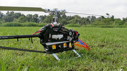 SANY3048.jpg