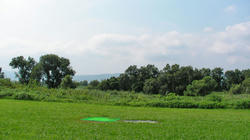 SANY3046.jpg