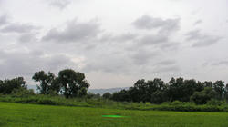 SANY3058.jpg