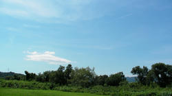 SANY3113.jpg