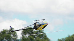 SANY3146.jpg