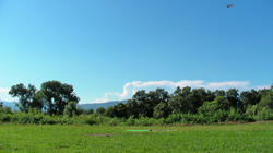 SANY3154_BLOG_BLOG.jpg