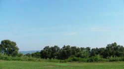 SANY3159_BLOG.jpg