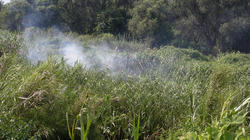 SANY3187i.jpg