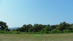 SANY3437_BLOG.jpg