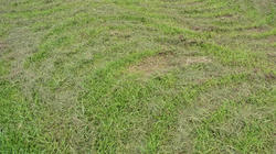 RIMG0193_BLOG.jpg