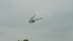 RIMG0210_BLOG.jpg