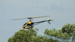 RIMG0022v.jpg