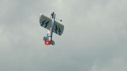 RIMG0054bb.jpg