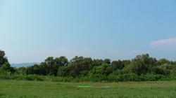 SANY3673.jpg