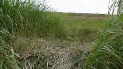 SANY3686.jpg