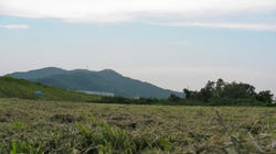SANY3692.jpg