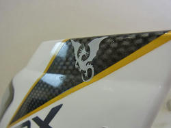 RIMG0296m.jpg